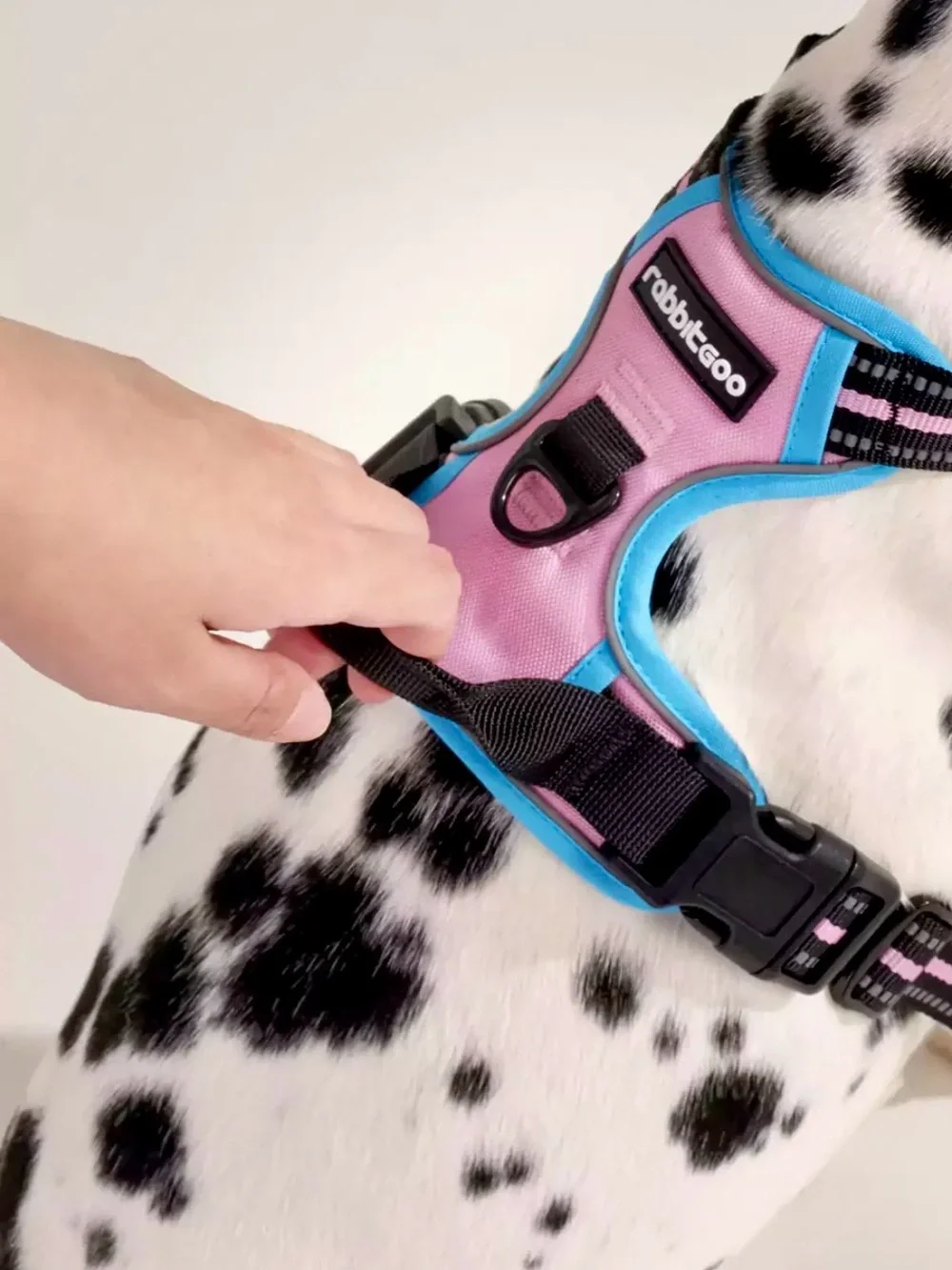 Rabbitgoo ColorPop Fit No Pull Dog Harness
